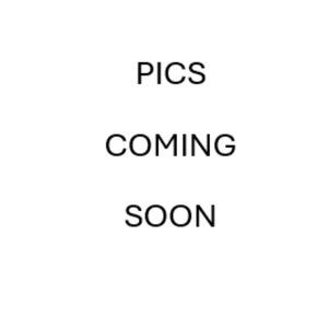 WILDCAT SMALL BLACK HALTER LACE CAMISOLE CROPPED LINED CHEST !